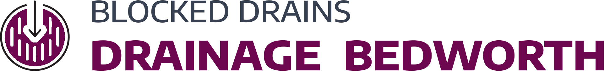 website logo
